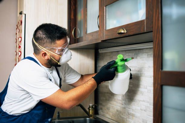 Best Pest Prevention Services  in Thompson, ND