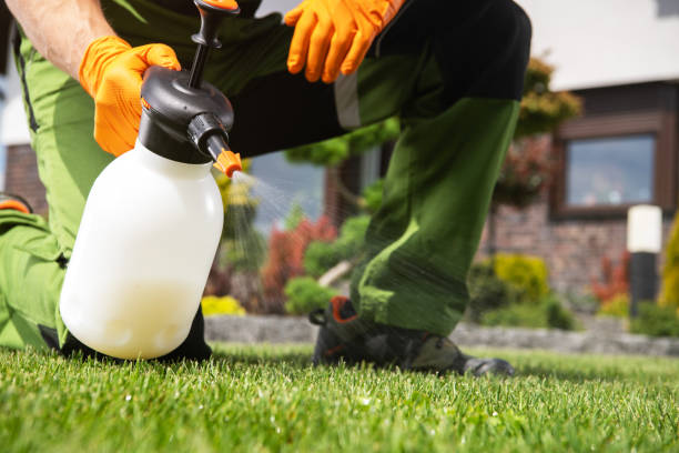 Best Pest Control Near Me  in Thompson, ND