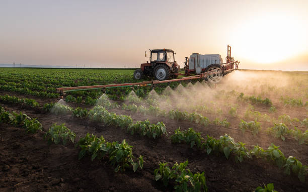 Insect Control in Thompson, ND