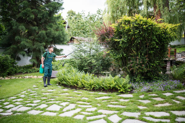 Best Commercial Pest Control Services  in Thompson, ND
