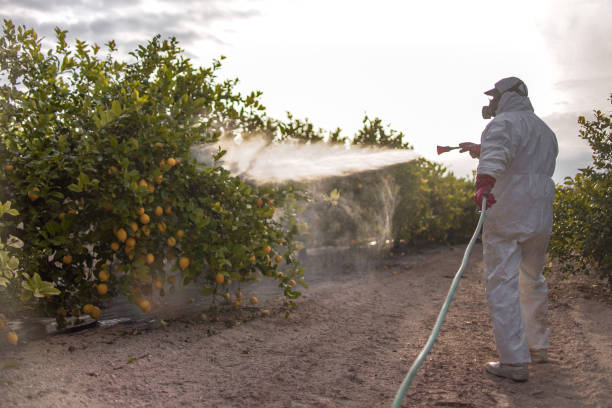 Best Residential Pest Control  in Thompson, ND