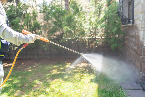 Best Emergency Pest Control  in Thompson, ND