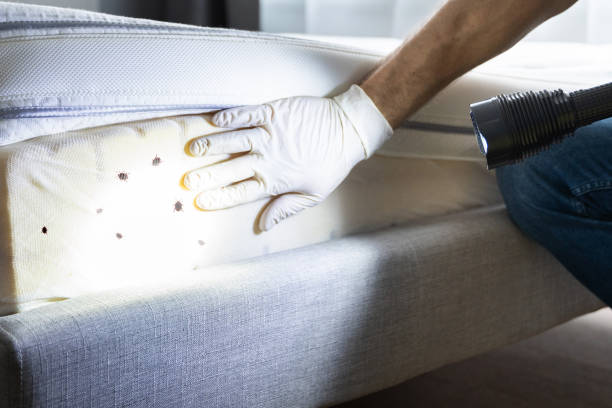 Best Pest Control for Restaurants  in Thompson, ND