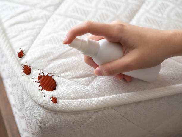 Best Affordable Pest Control Services  in Thompson, ND