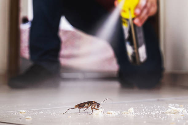 Best Best Pest Control Companies  in Thompson, ND