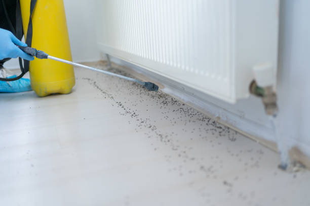 Best Bed Bug Extermination  in Thompson, ND