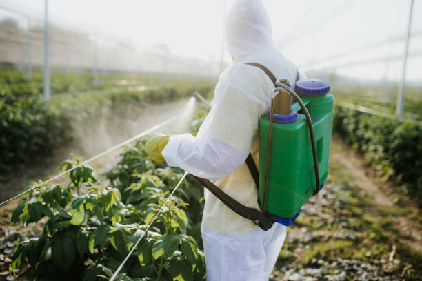 Best Pest Control Treatment  in Thompson, ND